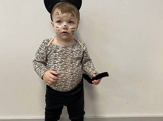 DOM BEZ KOTA TO NIE ROBOTA