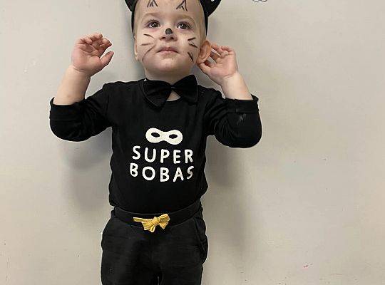 DOM BEZ KOTA TO NIE ROBOTA