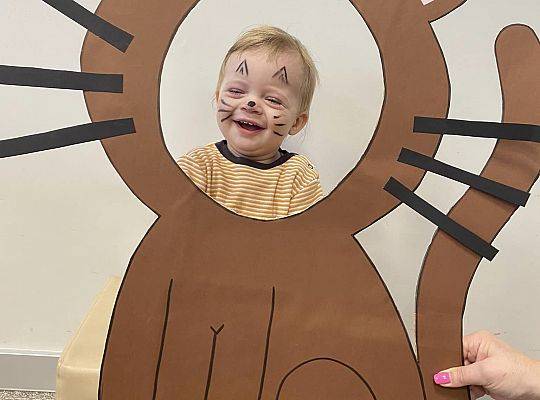 DOM BEZ KOTA TO NIE ROBOTA