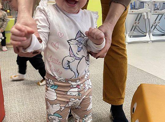 DOM BEZ KOTA TO NIE ROBOTA