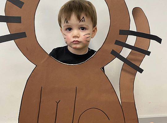 DOM BEZ KOTA TO NIE ROBOTA