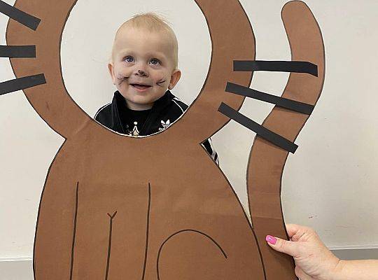 DOM BEZ KOTA TO NIE ROBOTA