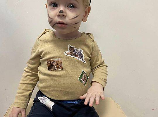 DOM BEZ KOTA TO NIE ROBOTA