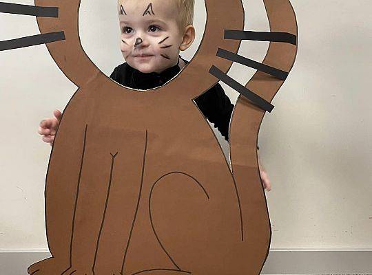 DOM BEZ KOTA TO NIE ROBOTA