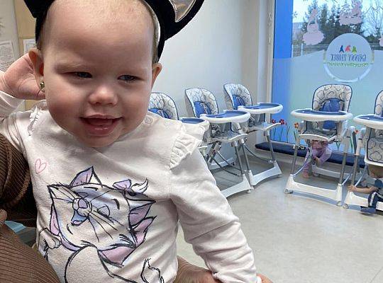 DOM BEZ KOTA TO NIE ROBOTA