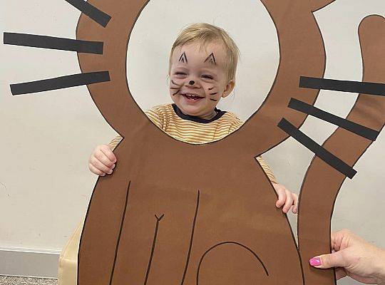 DOM BEZ KOTA TO NIE ROBOTA