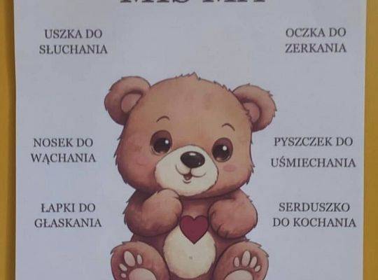 DZIEŃ PLUSZOWEGO MISIA