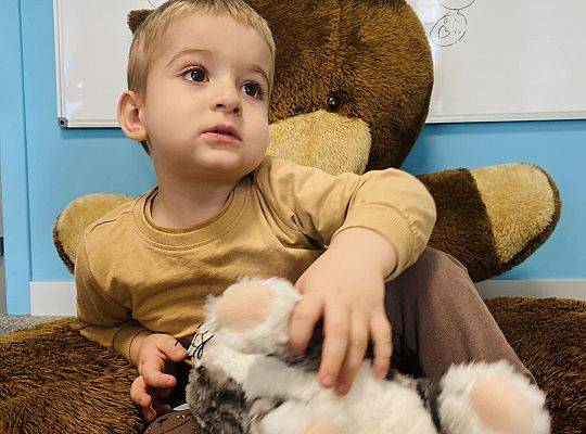 DZIEŃ PLUSZOWEGO MISIA