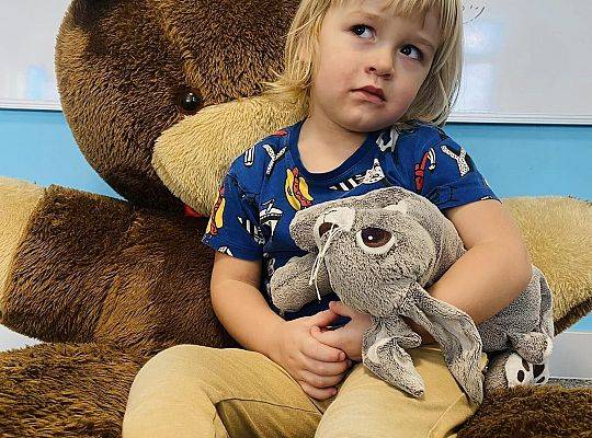 DZIEŃ PLUSZOWEGO MISIA