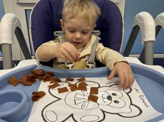 DZIEŃ PLUSZOWEGO MISIA