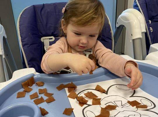 DZIEŃ PLUSZOWEGO MISIA