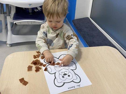 DZIEŃ PLUSZOWEGO MISIA