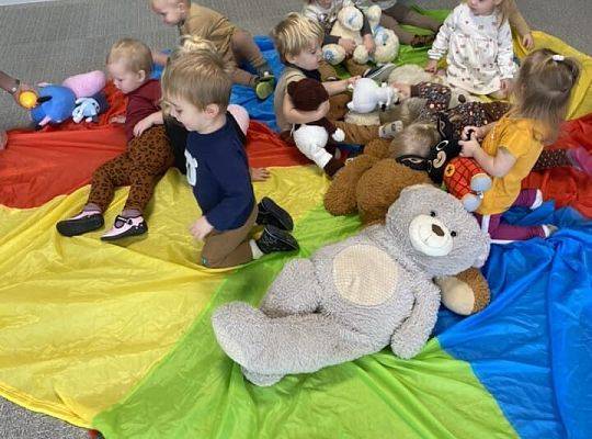 DZIEŃ PLUSZOWEGO MISIA