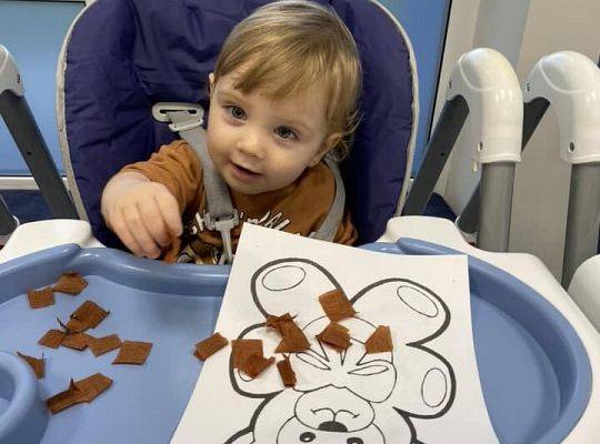 DZIEŃ PLUSZOWEGO MISIA