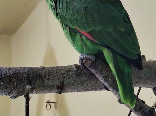 WYCIECZKA DO ZOO OLIWSKIEGO