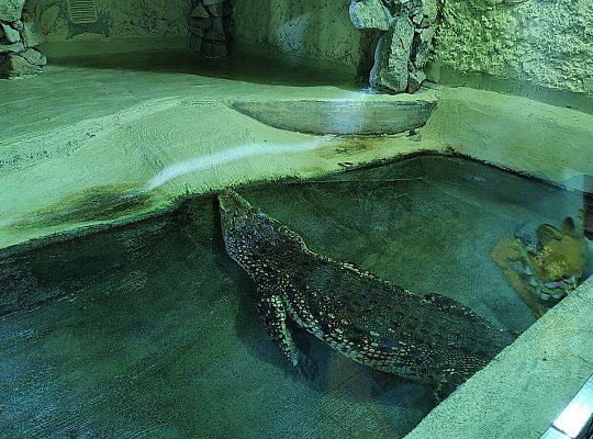 WYCIECZKA DO ZOO OLIWSKIEGO