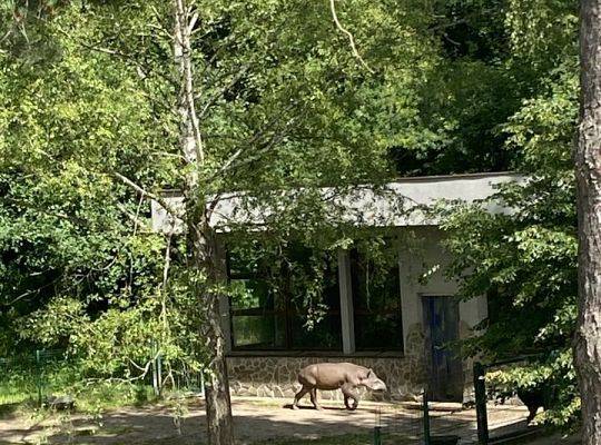 WYCIECZKA DO ZOO OLIWSKIEGO