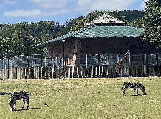 WYCIECZKA DO ZOO OLIWSKIEGO