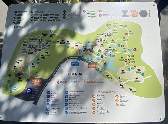 WYCIECZKA DO ZOO OLIWSKIEGO