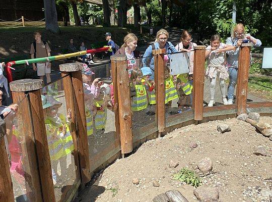 WYCIECZKA DO ZOO OLIWSKIEGO