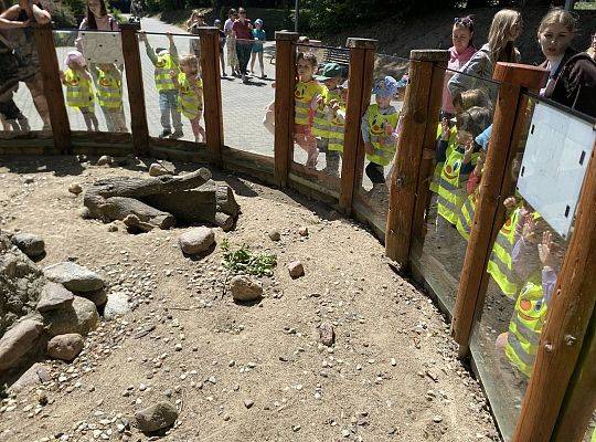 WYCIECZKA DO ZOO OLIWSKIEGO