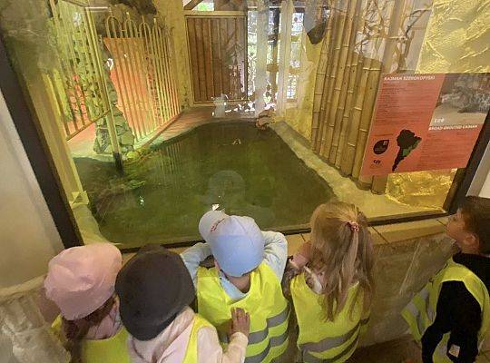 WYCIECZKA DO ZOO OLIWSKIEGO