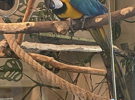 WYCIECZKA DO ZOO OLIWSKIEGO