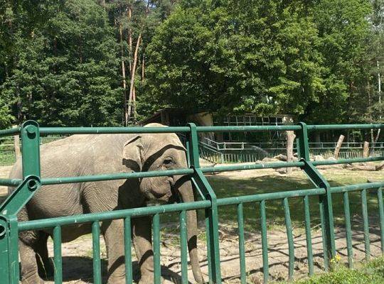 WYCIECZKA DO ZOO OLIWSKIEGO