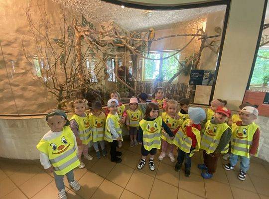WYCIECZKA DO ZOO OLIWSKIEGO