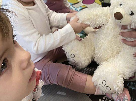 DZIEŃ PLUSZOWEGO MISIA W NASZYM ŻŁOBKU