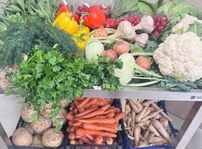 ZDROWE JEDZENIE W ŻŁOBKU